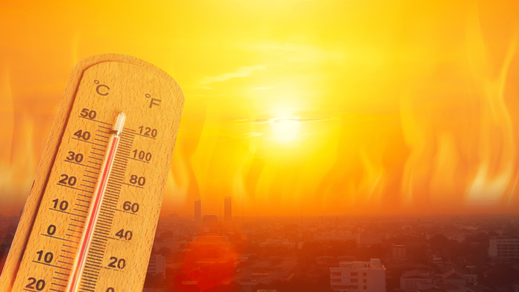 Temperature Mapping Study